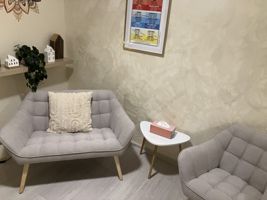 Kineziologie One Brain Břeclav